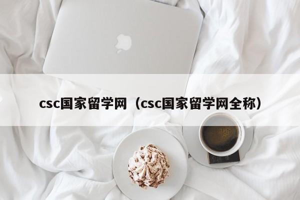 csc国家留学网（csc国家留学网全称）