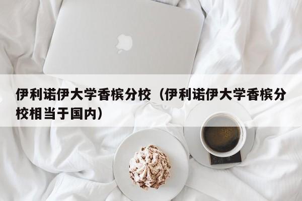 伊利诺伊大学香槟分校（伊利诺伊大学香槟分校相当于国内）