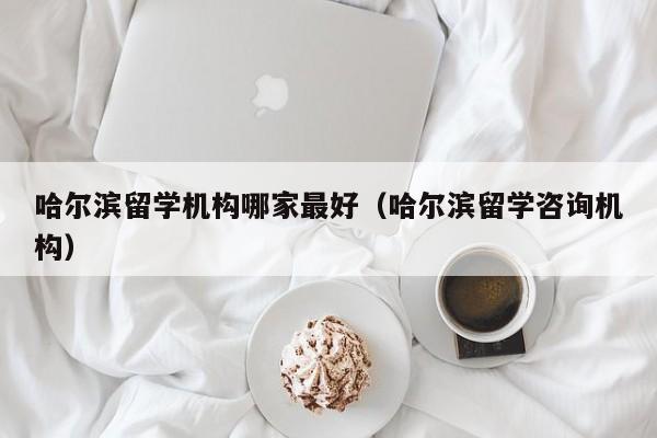 哈尔滨留学机构哪家最好（哈尔滨留学咨询机构）