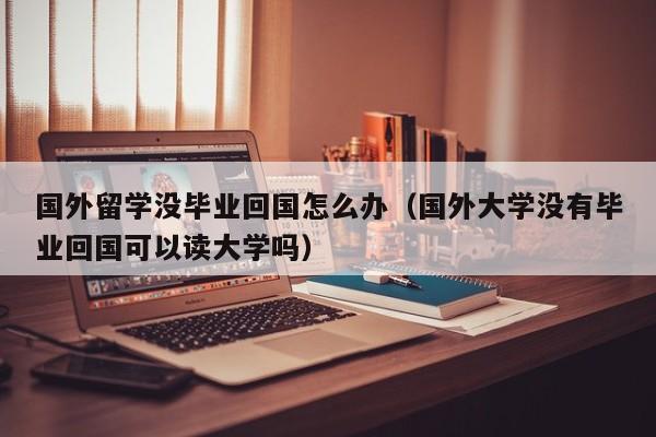 国外留学没毕业回国怎么办（国外大学没有毕业回国可以读大学吗）