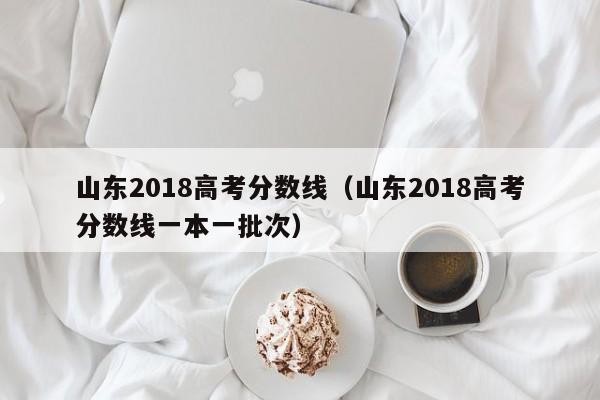 山东2018高考分数线（山东2018高考分数线一本一批次）