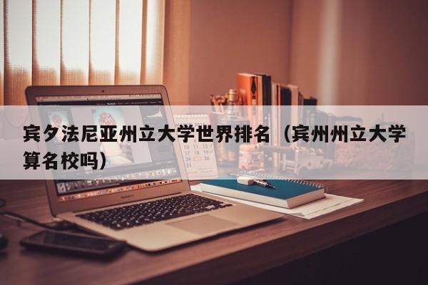 宾夕法尼亚州立大学世界排名（宾州州立大学算名校吗）