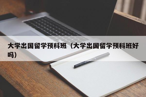 大学出国留学预科班（大学出国留学预科班好吗）